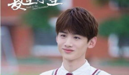 夏至未至电视剧全集播放,青春记忆的温暖回响